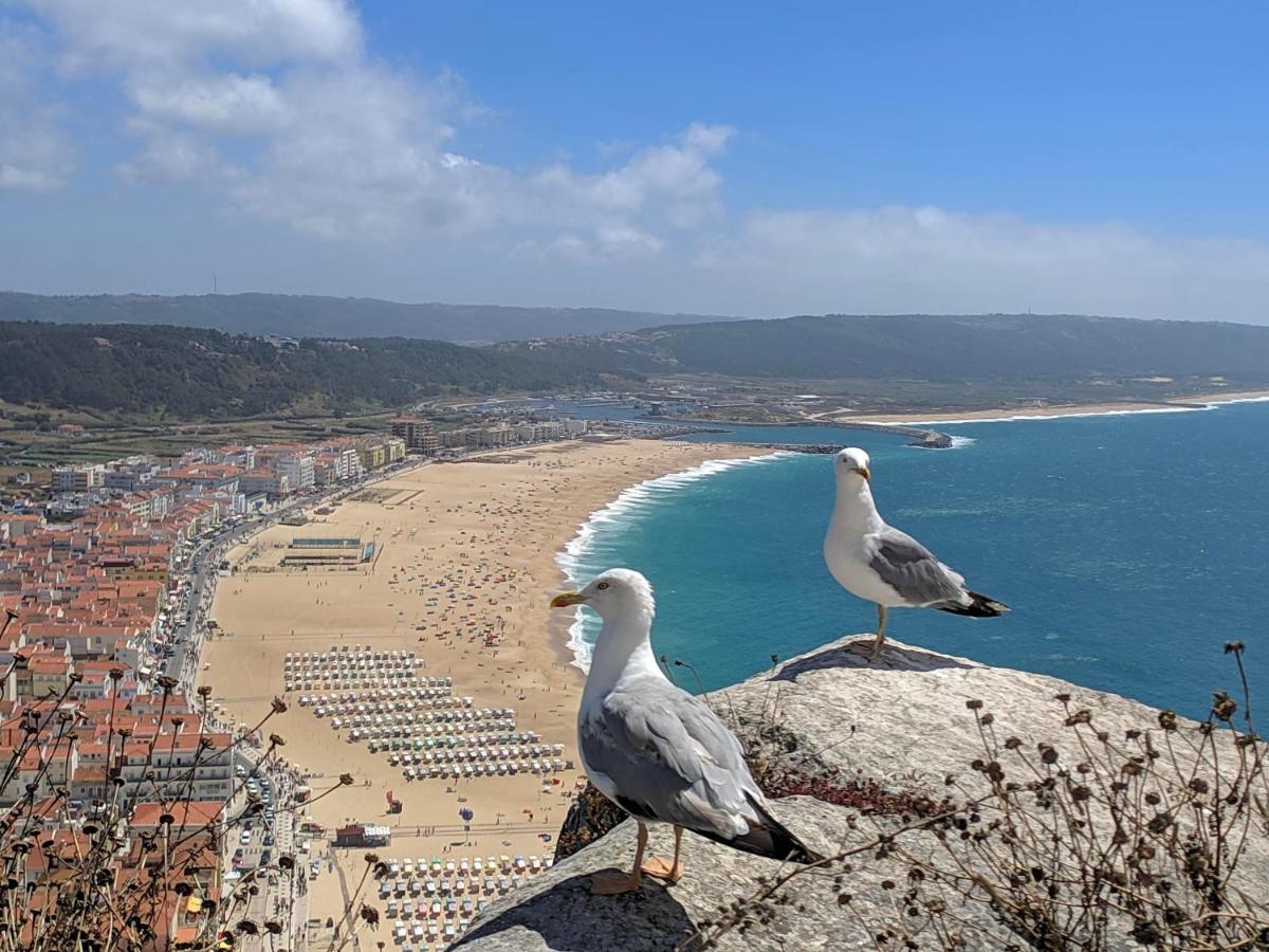 Apartmán Blue Boat House - The Atlantic Breeze Nazaré Exteriér fotografie